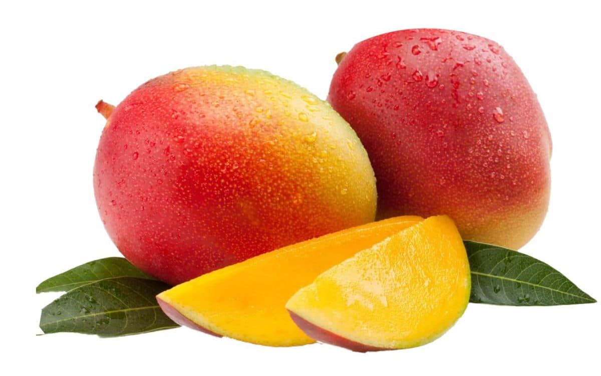 7 Variedades del mango de Costa Rica