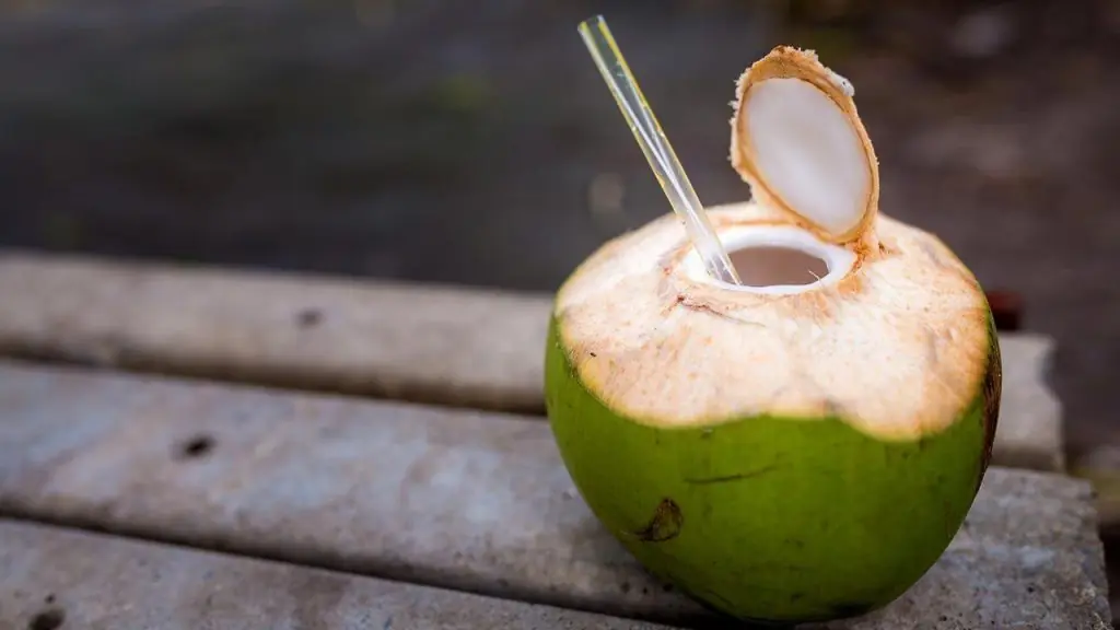 agua de coco costa rica frocori