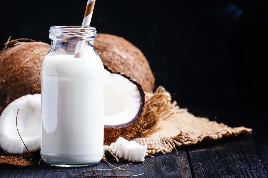 leche de coco receta costa rica frocori