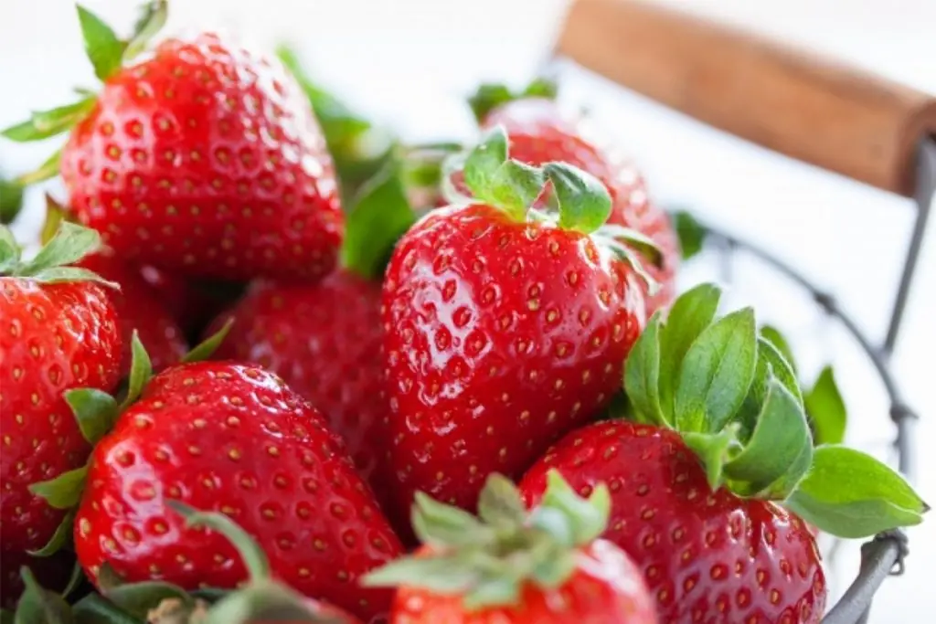 beneficios de fresa 2 FroCoRi