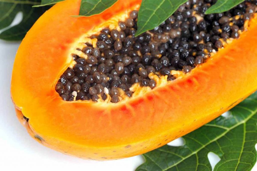 beneficios papaya saluzzo