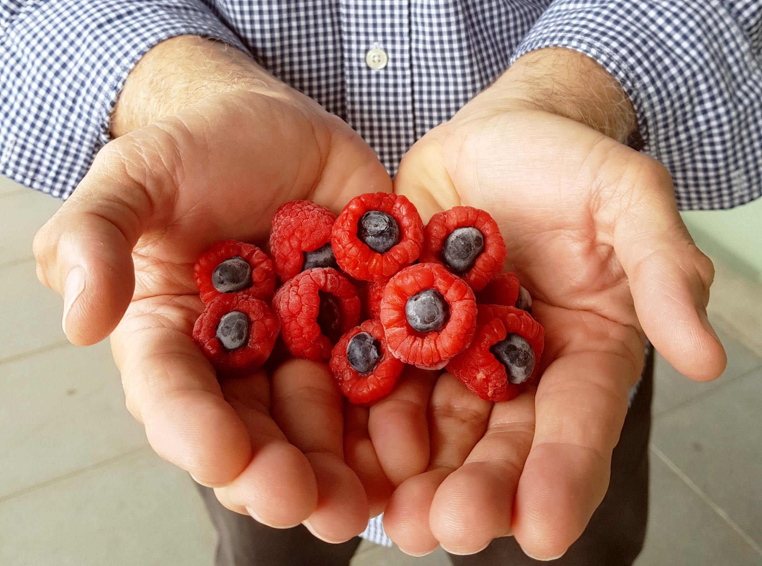 raspberry blueberry costa rica frozen berries pfs