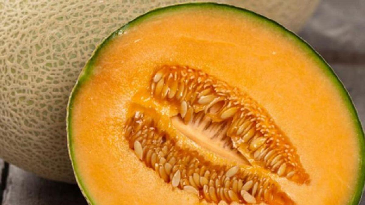 melón congelado en costa rica iqf saluzzo pfs