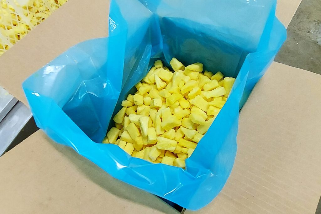 industria - piña congelada bulk granel costa rica saluzzo prime freezing system