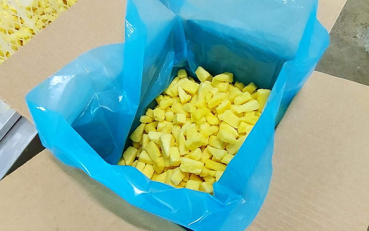 industria - piña congelada bulk granel costa rica saluzzo prime freezing system