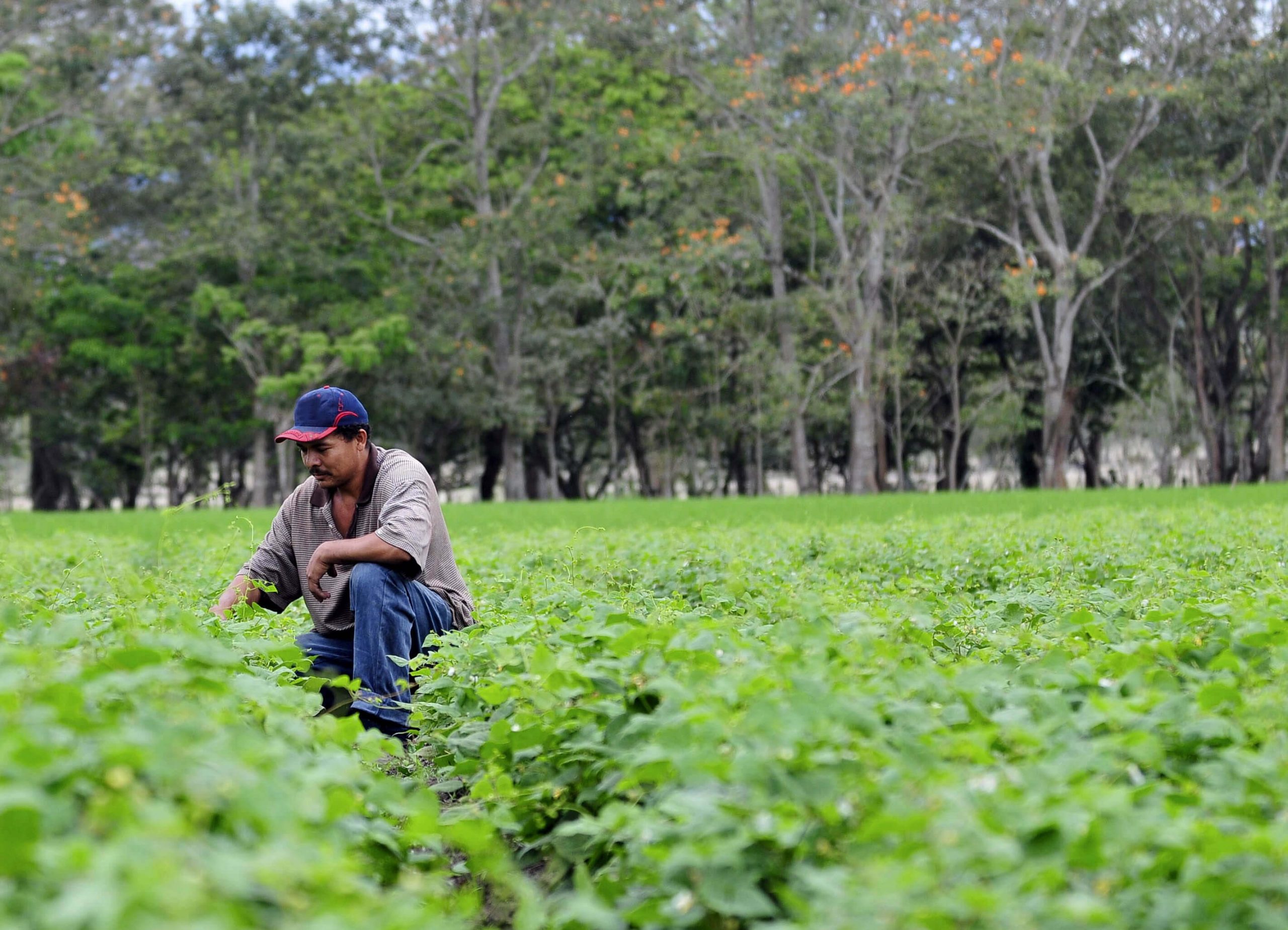 sobre nosotros sostenible saluzzo frozenflix