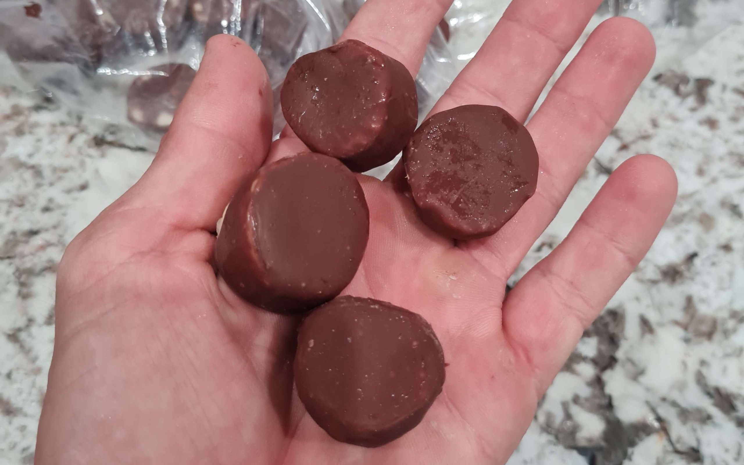 Chocolate Covered Frozen Fruits saluzzo prime freezing system