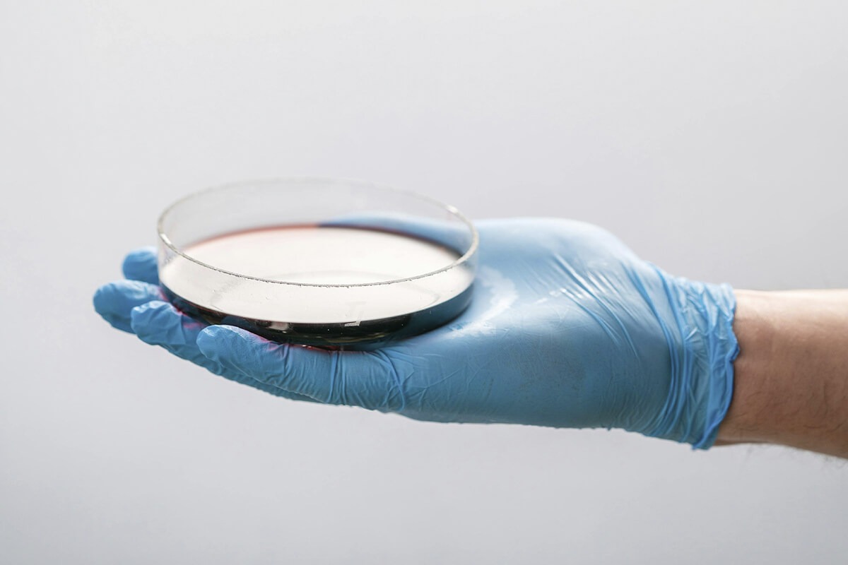 Investigación y Desarrollo